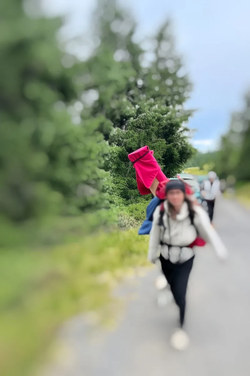 Z výletu i s fošnou. Čekatelka stráže přírody v Jeseníkách přistihla nenechavou turistku