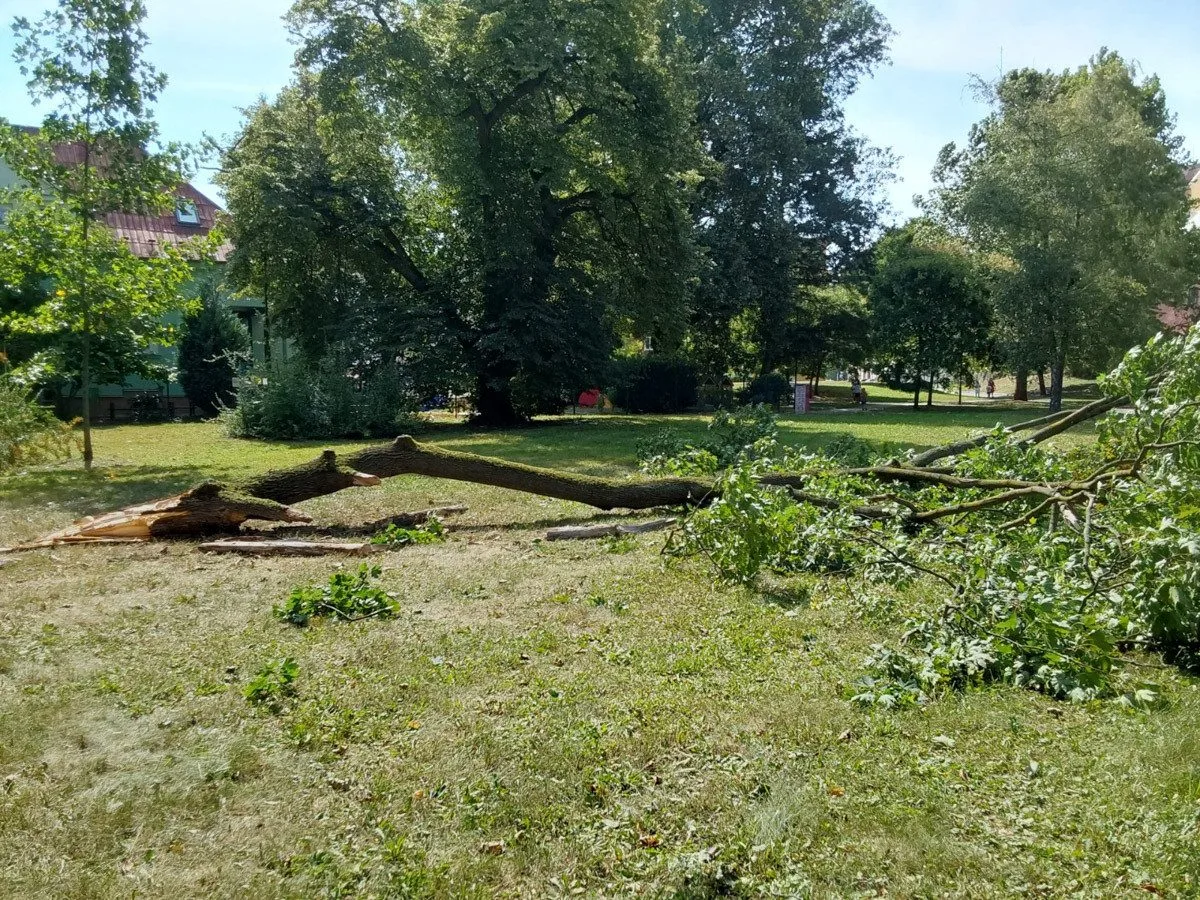 Nehody na D35 i poničené střechy. Vichr udeřil v Olomouckém kraji, hasiči řeší desítky událostí