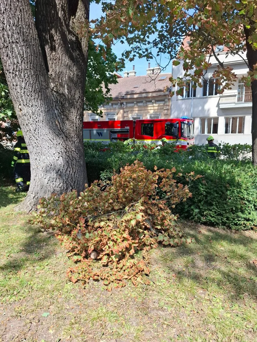 Nehody na D35 i poničené střechy. Vichr udeřil v Olomouckém kraji, hasiči řeší desítky událostí