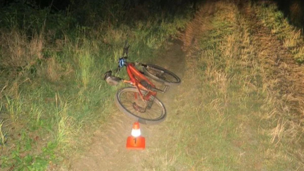 cyklistu srazila srna