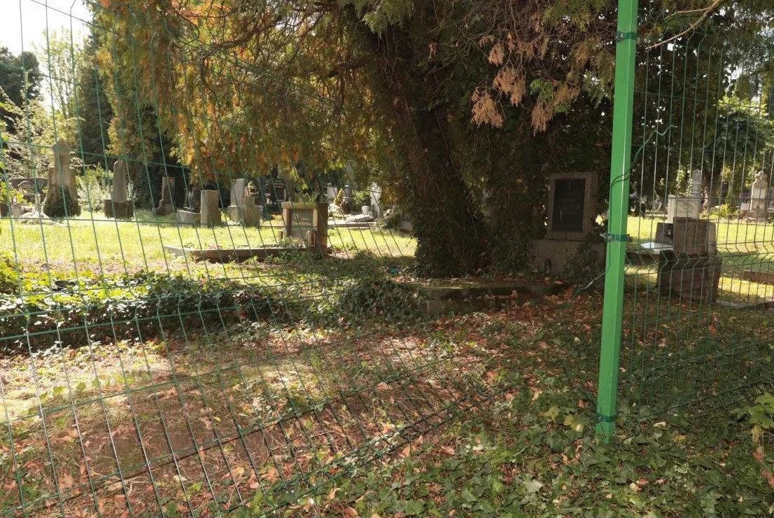 Hyena na hřbitově v Olomouci, pět desítek poničených nebo otevřených hrobů. Ničema hledal cennosti