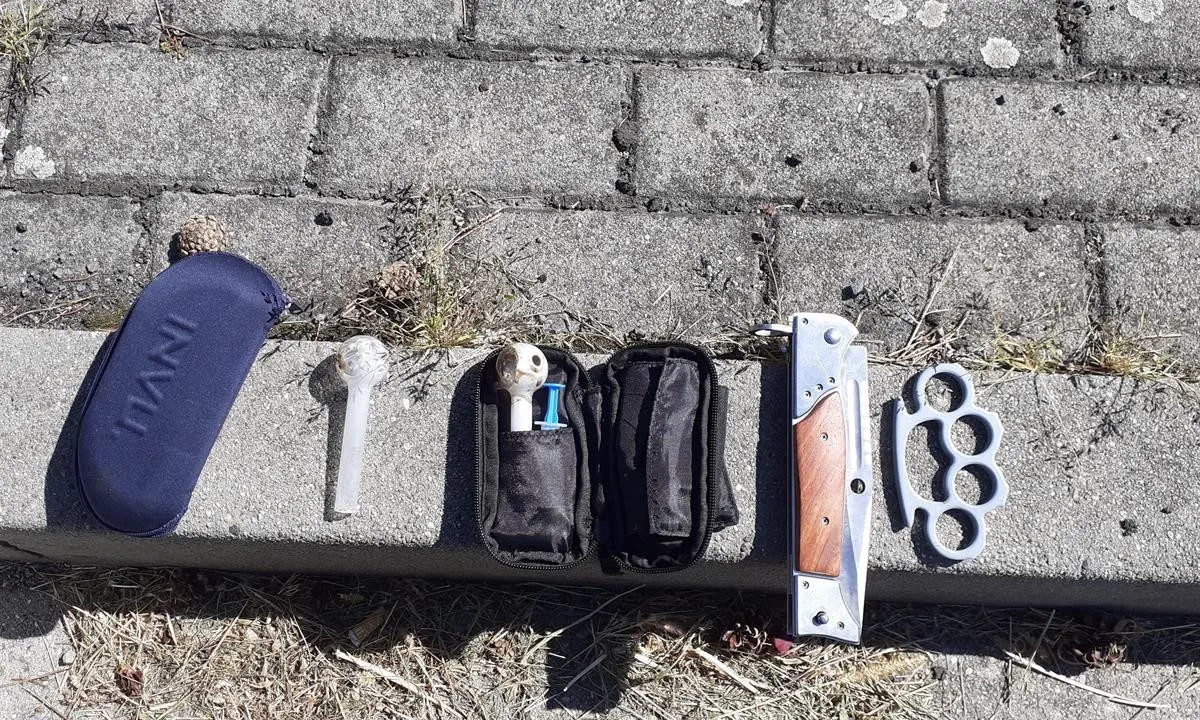 VIDEO: Razie na řidiče z ciziny. Celníci objevili desítky gramů pervitinu či marihuany