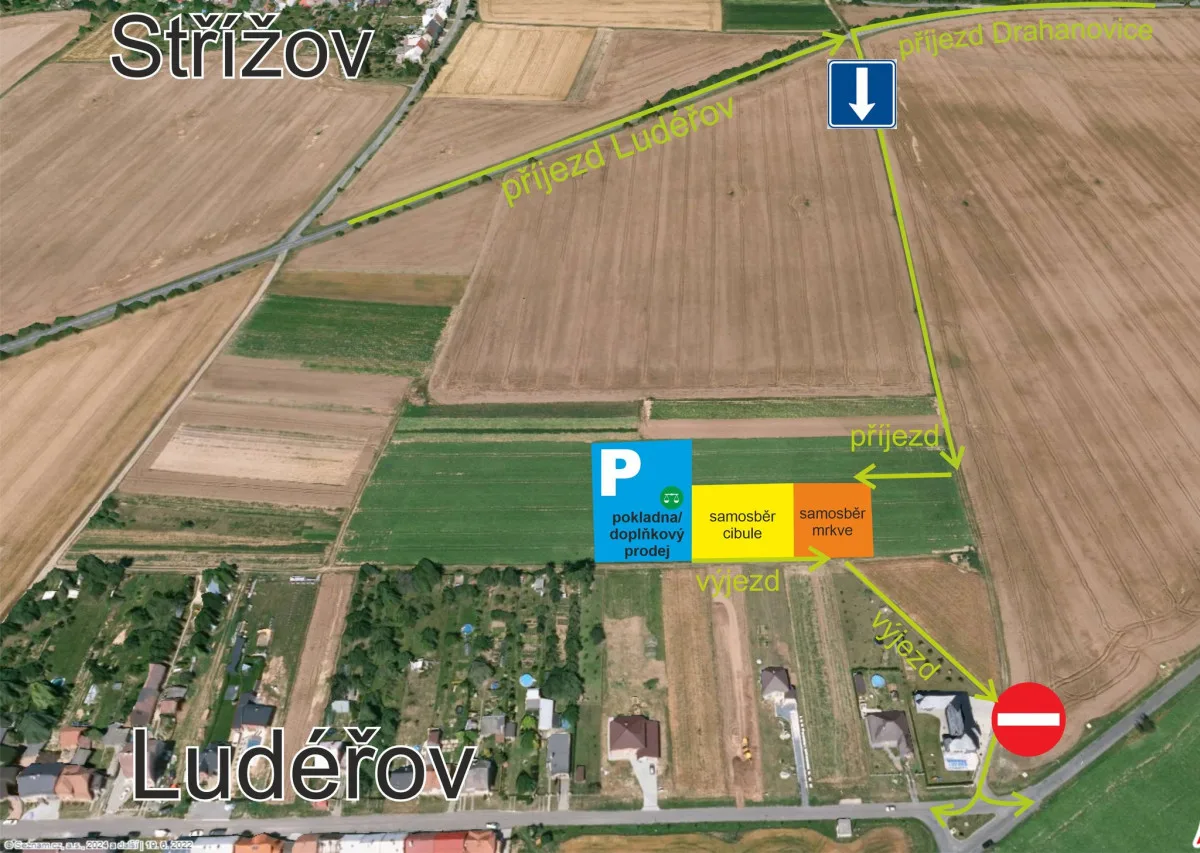 Počasí se umoudřilo. Samosběr brambor, cibule a mrkve u Ludéřova zítra startuje