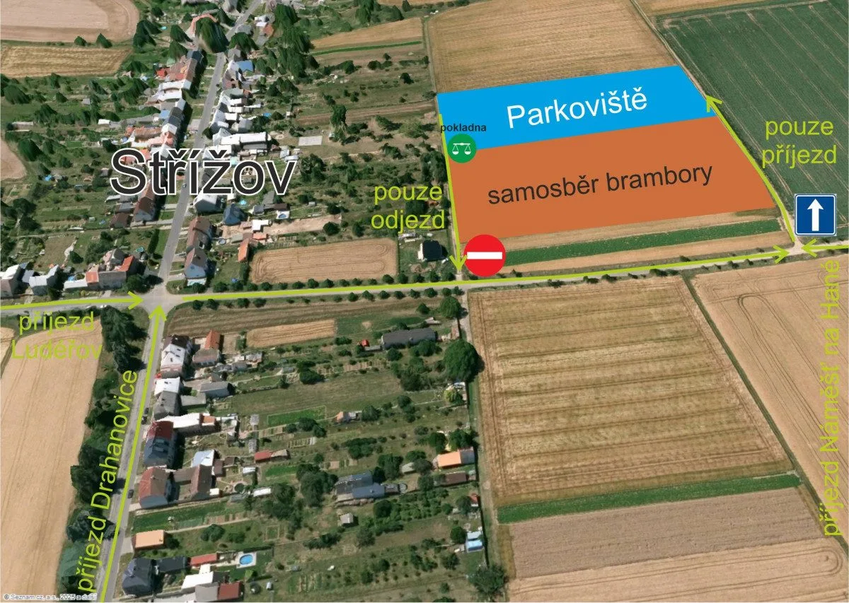 Počasí se umoudřilo. Samosběr brambor, cibule a mrkve u Ludéřova zítra startuje