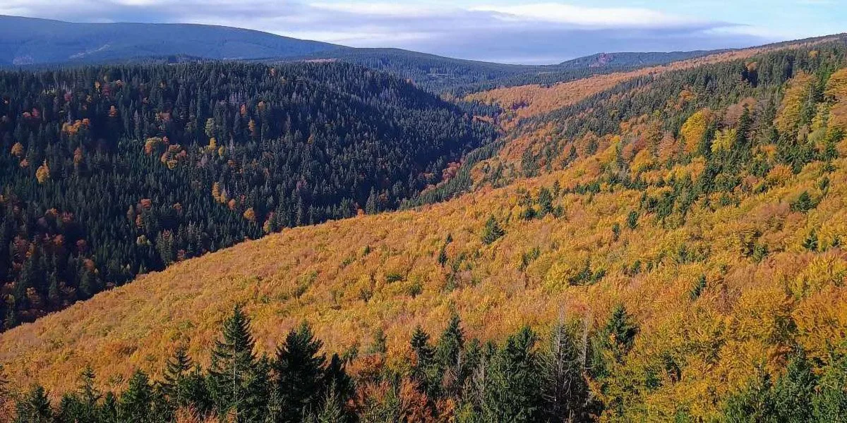 Rezervace Skalní potok se rozšířila o sedm hektarů