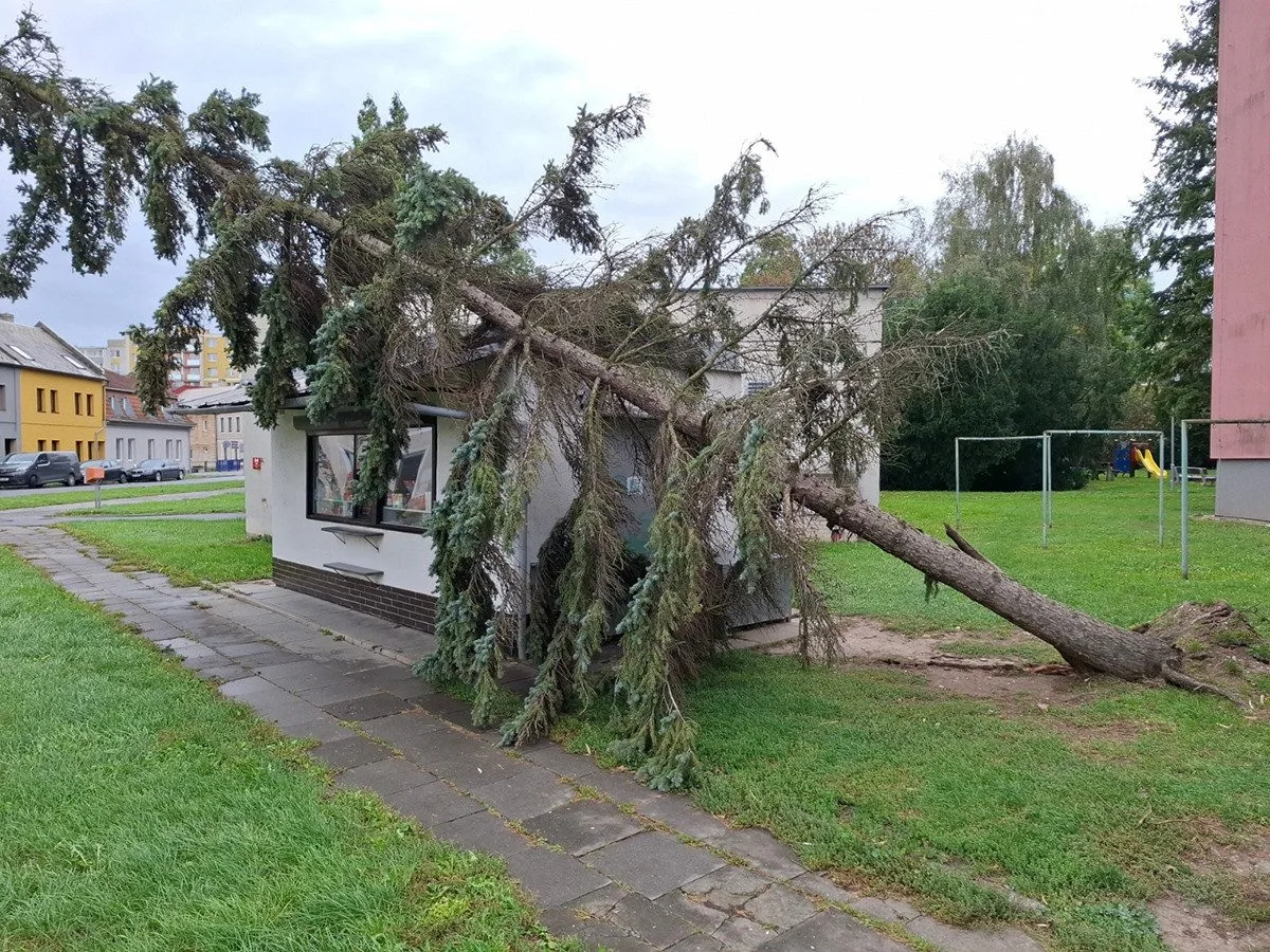 V Přerově se strom vyvrátil při silném větru na objekt trafiky