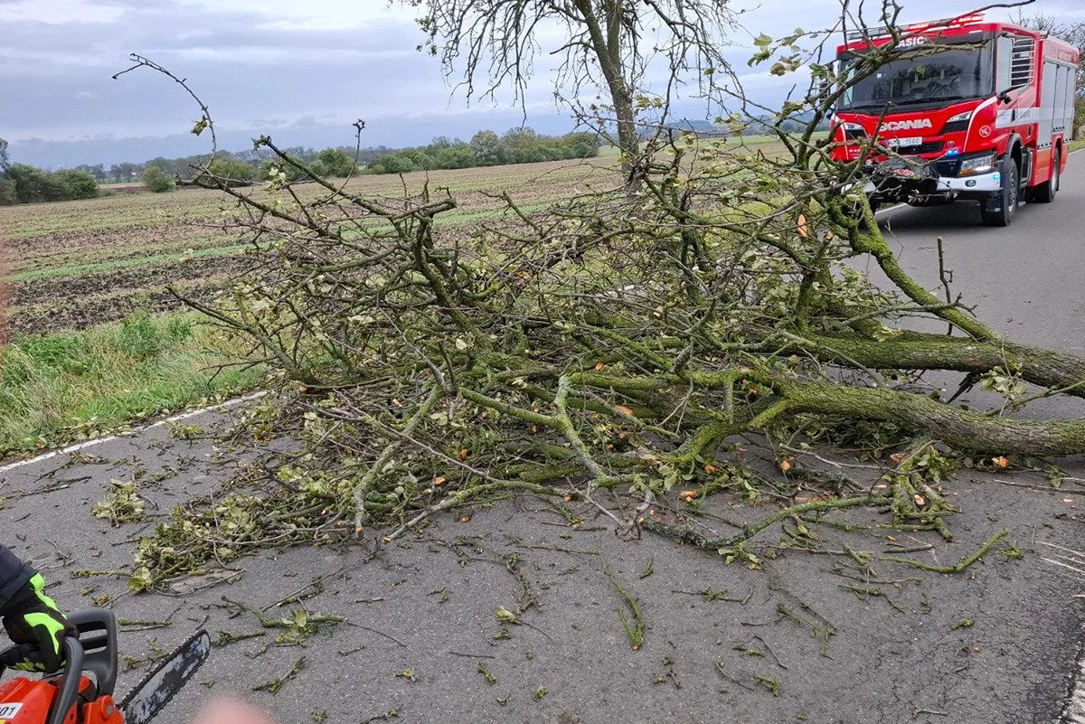 Vichr trápí Olomoucký kraj, hasiči řeší desítky zásahů