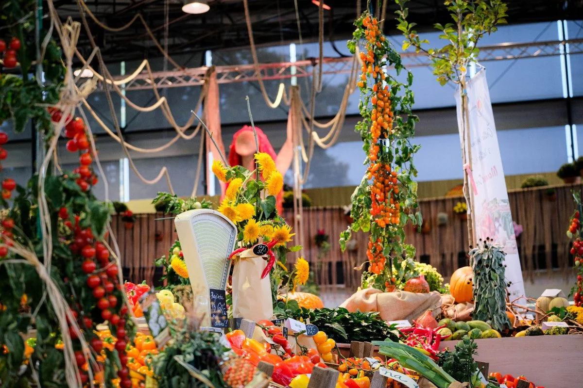 podzimni_Flora_Olomouc_Hortikomplex _exp