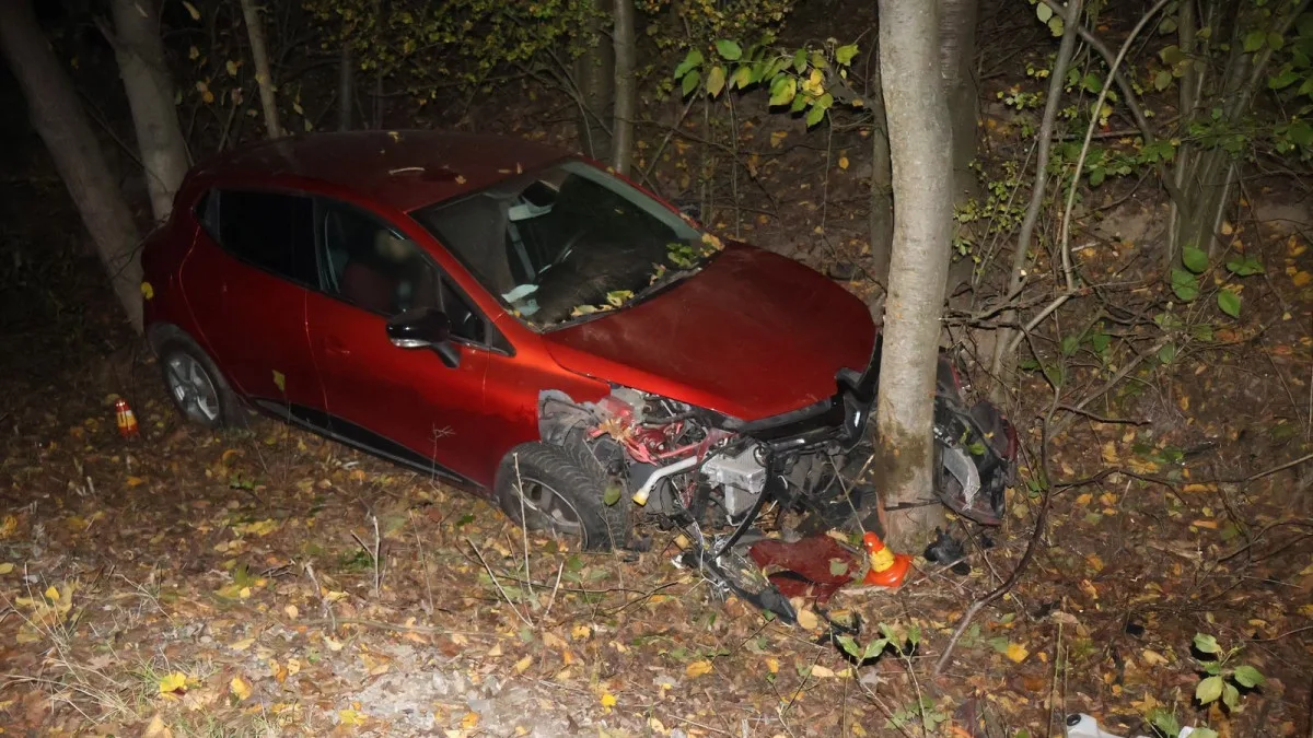Opilý mladík nezvládl rychlost a u Břevence v noci vyletěl ze silnice. Skončil ve stromě