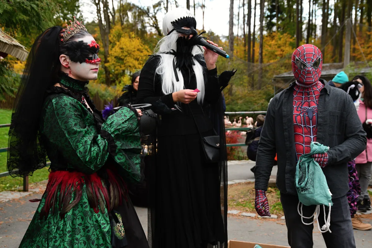 FOTOGALERIE: Strašidelné zoo praskalo ve švech, dnes je na programu světelná show