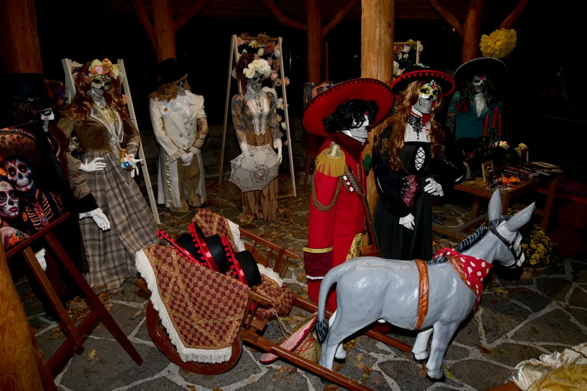 FOTOGALERIE: Strašidelné zoo praskalo ve švech, dnes je na programu světelná show