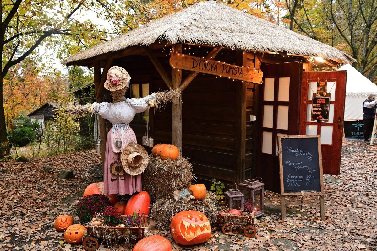 FOTOGALERIE: Strašidelné zoo praskalo ve švech, dnes je na programu světelná show
