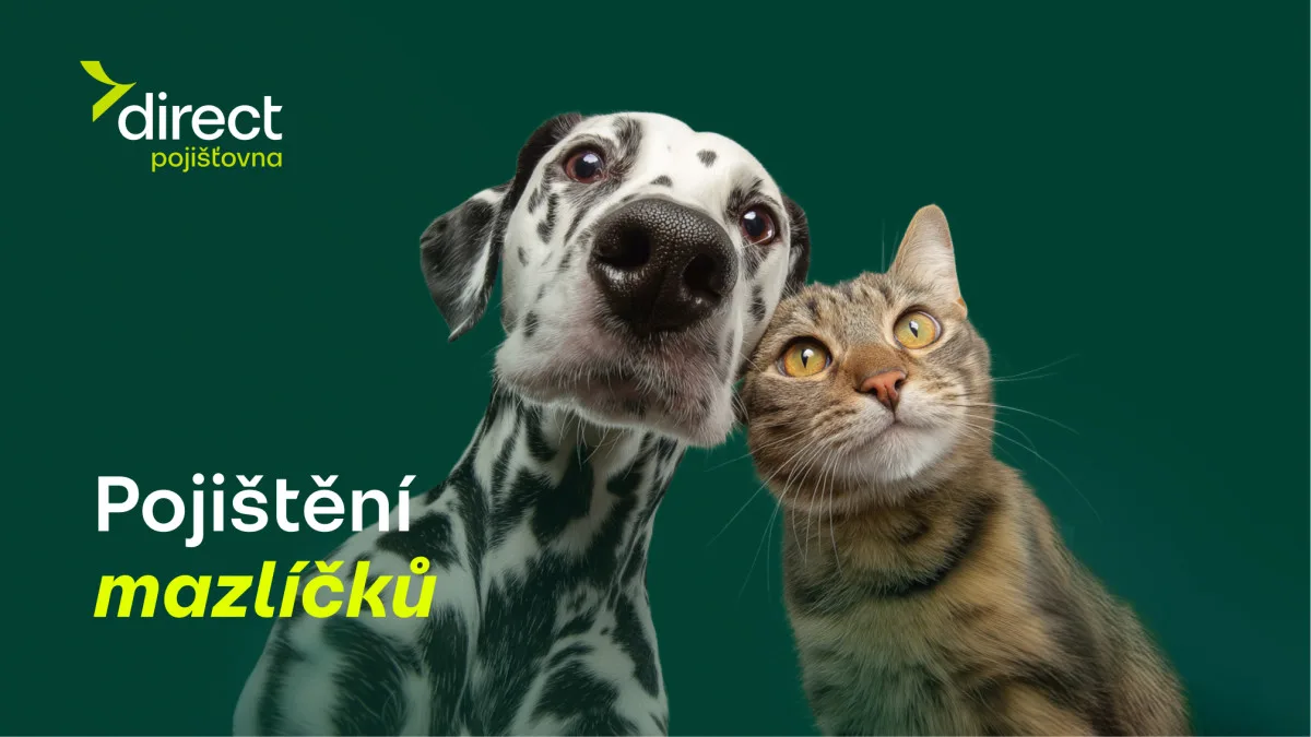 Pes spadl z gauče. Účet od veterináře vás překvapí