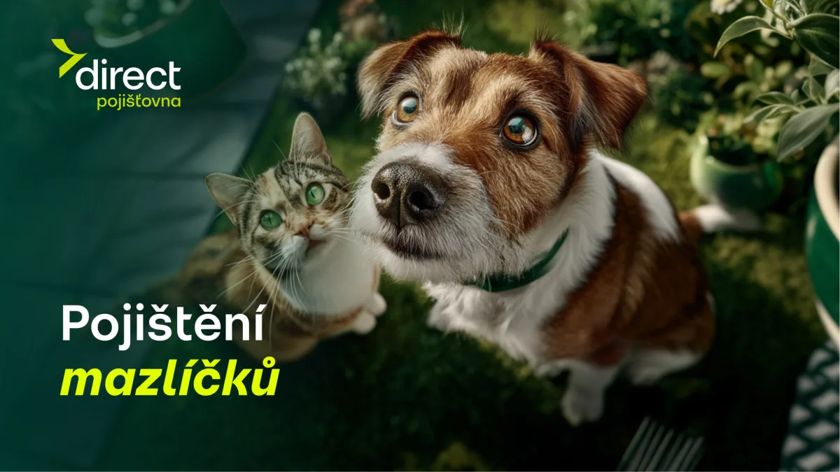 Pes spadl z gauče. Účet od veterináře vás překvapí