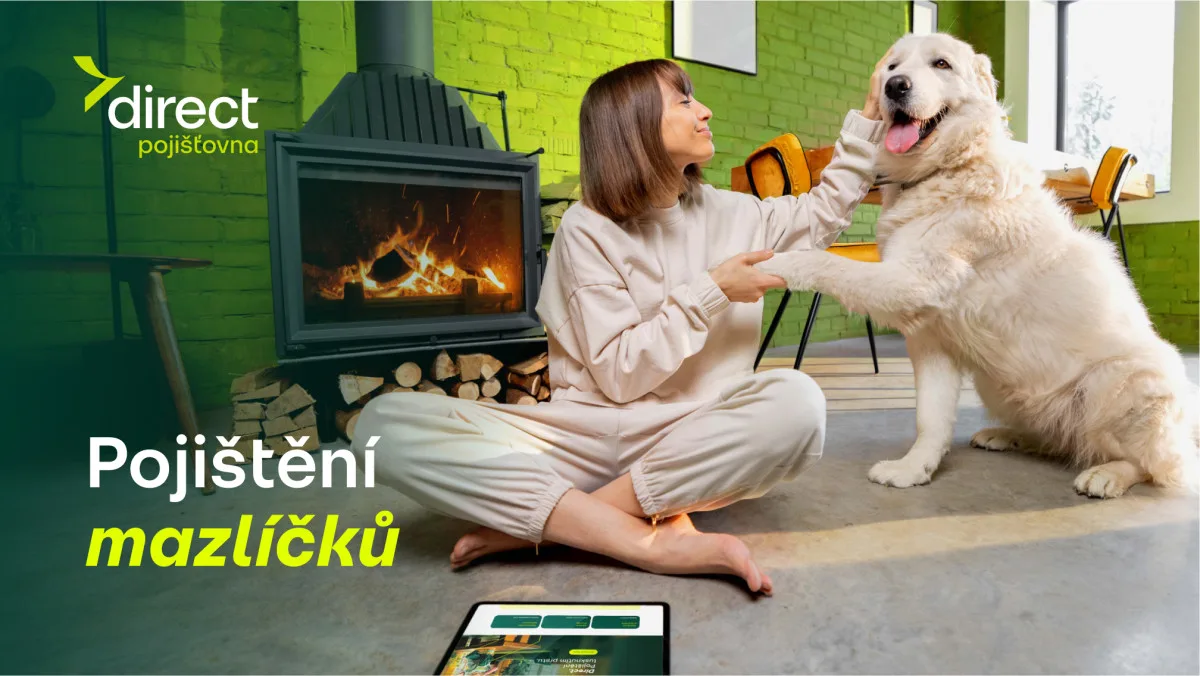 Pes spadl z gauče. Účet od veterináře vás překvapí