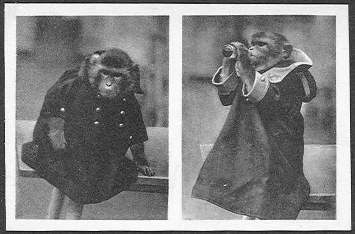 Nemáte doma historické fotografie z olomoucké zoo? Zahrada prosí o jejich propůjčení