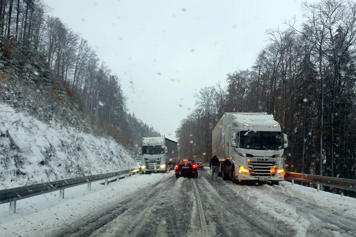 Kolaps kvůli sněhu na Červenohorském sedle? Údržba nepochybila, říká šéf ŘSD