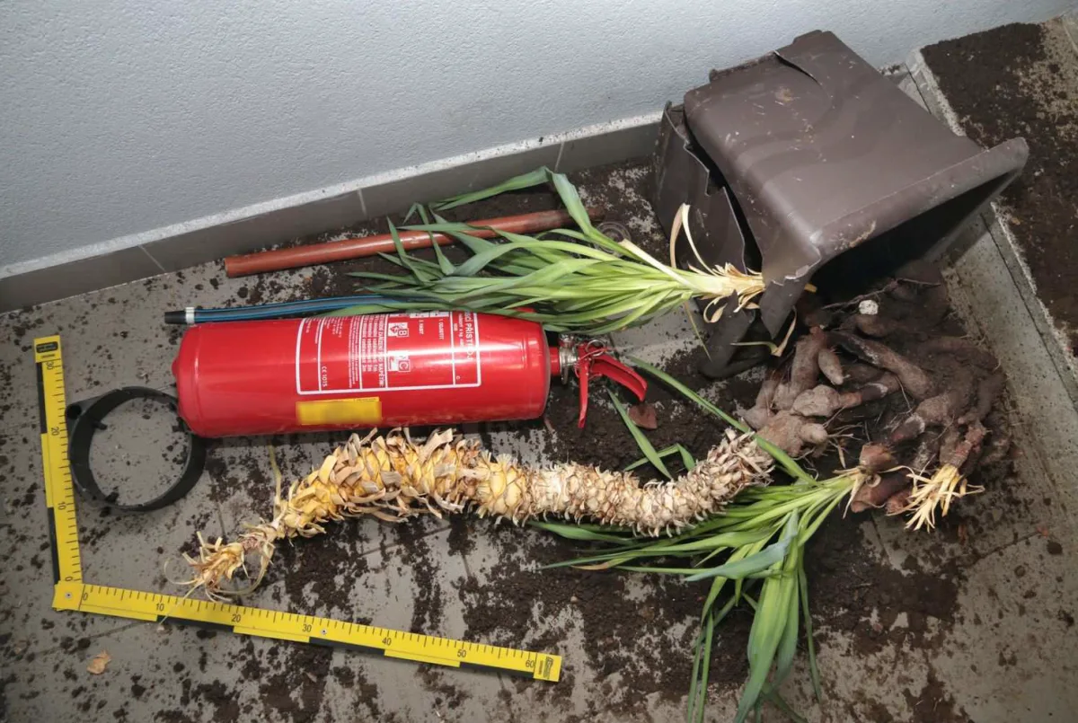 Procházel Jeseníkem a ničil vše, na co narazil. Auta, popelnice, dveře, polámal i květiny