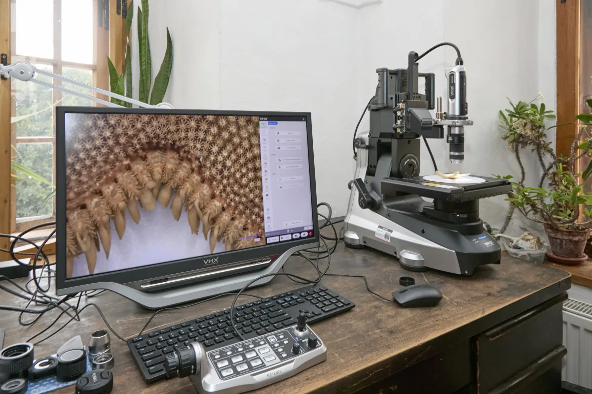 Vlastivědné muzeum získalo digitální mikroskop. Pomůže přiblížit přírodovědné sbírky