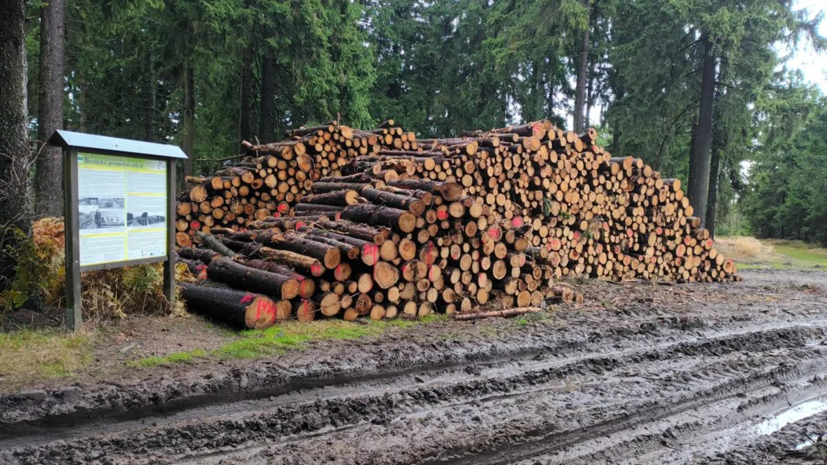 TIP NA VÝLET: Suchý Vrch