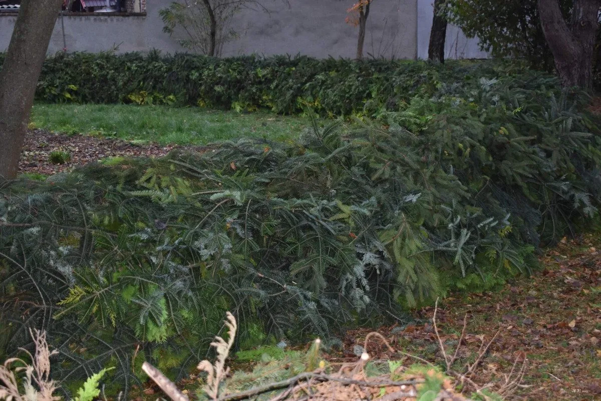 Obyvatelé Víceměřic vytvořili obří adventní věnec, dílo míří do knihy