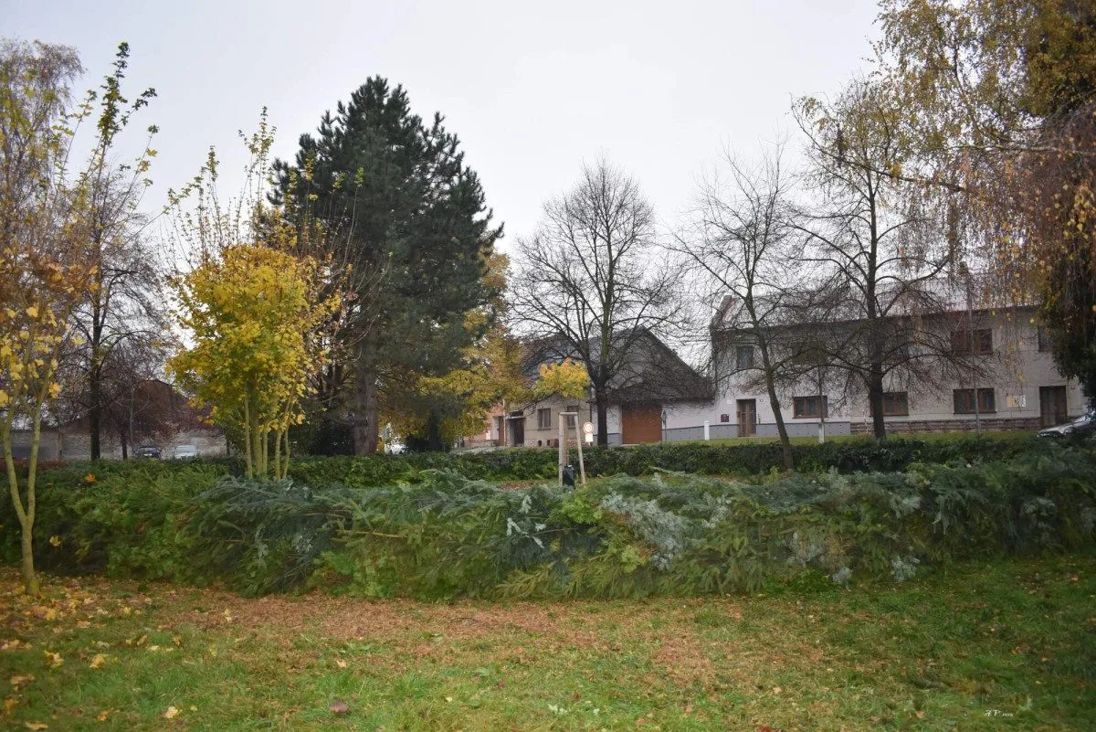 Obyvatelé Víceměřic vytvořili obří adventní věnec, dílo míří do knihy
