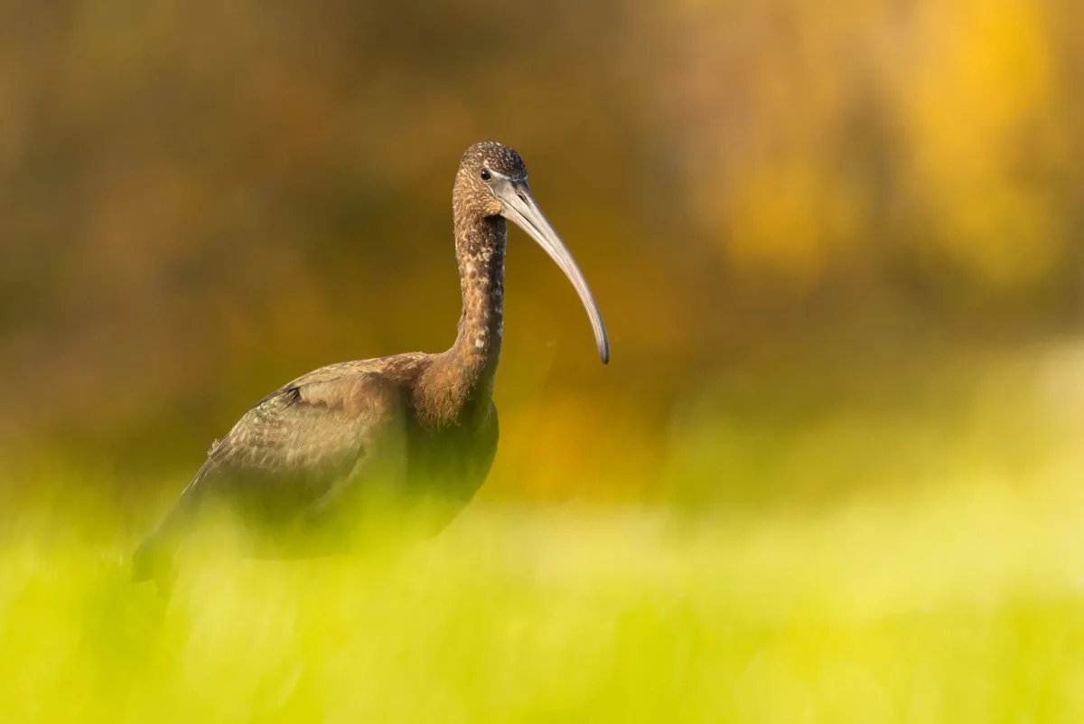 foto Robert Adamec 3