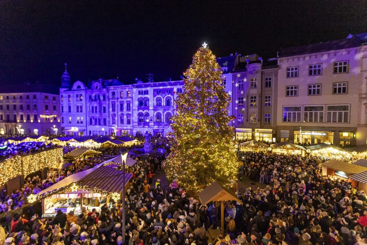 FOTO, VIDEO: V Olomouci se rozzářil vánoční strom Štědřínek