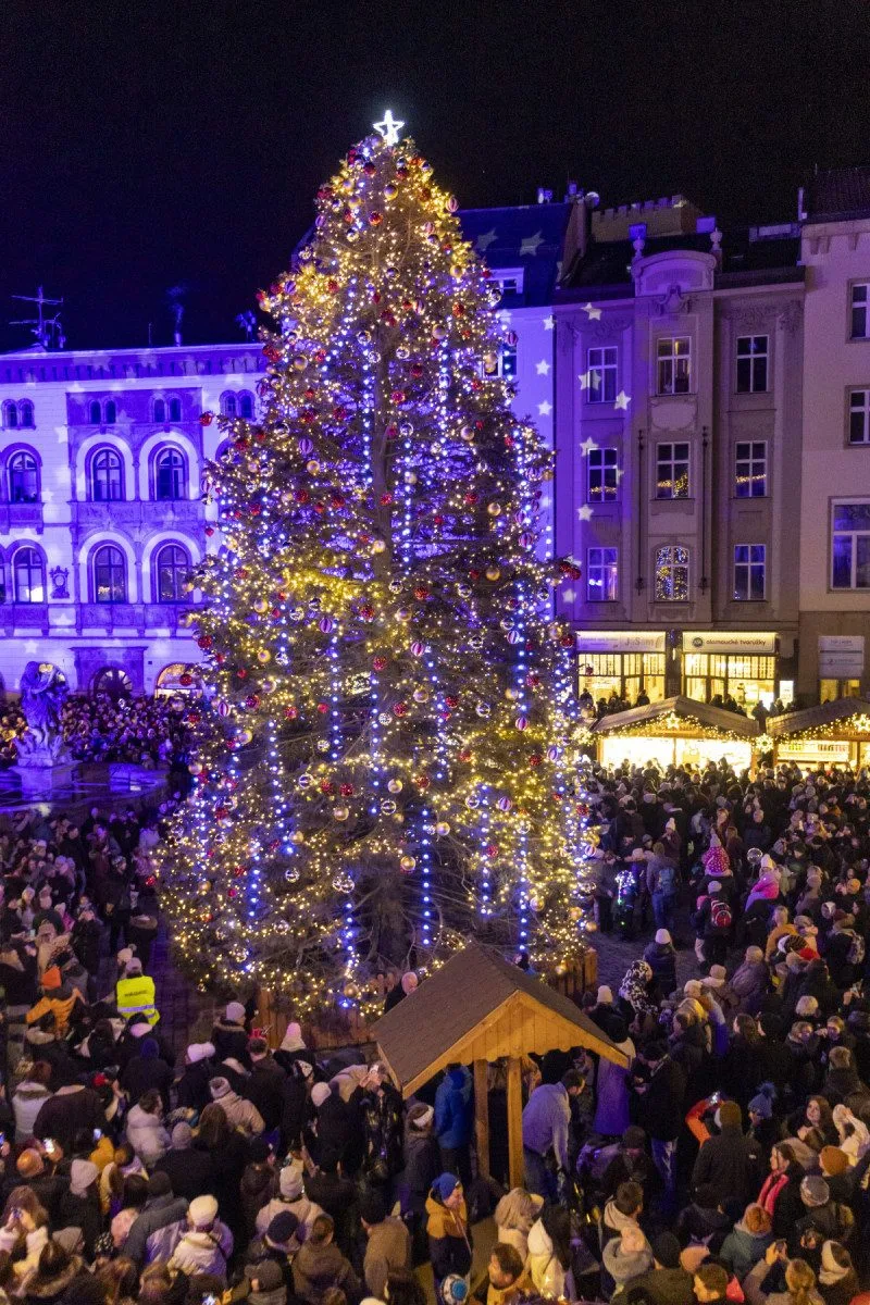 FOTO, VIDEO: V Olomouci se rozzářil vánoční strom Štědřínek