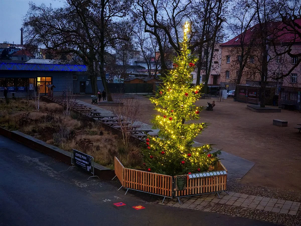 Vánoční strom nazvaný KOKOS na okraji olomouckého parku za pavilonem A Výstaviště Flora