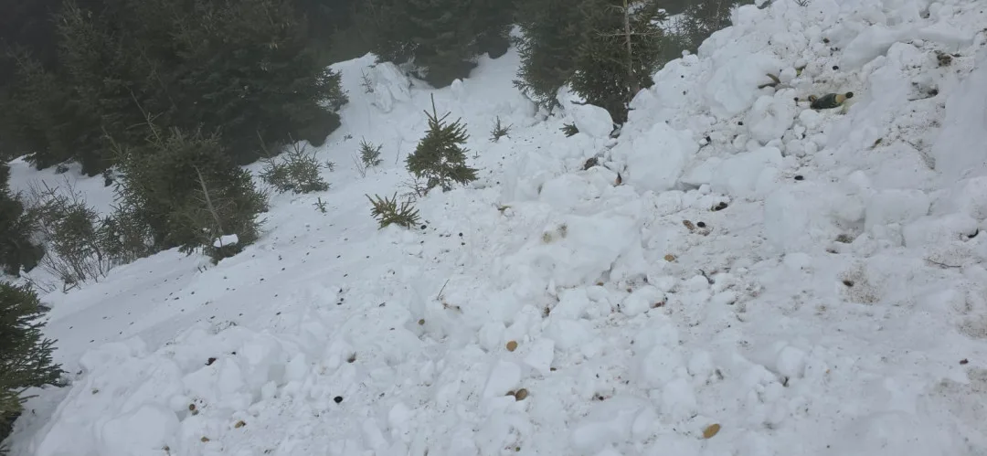 Konec pyrotechniky v Jeseníkách. Mohutný ohňostroj na Ovčárně by se už neměl opakovat