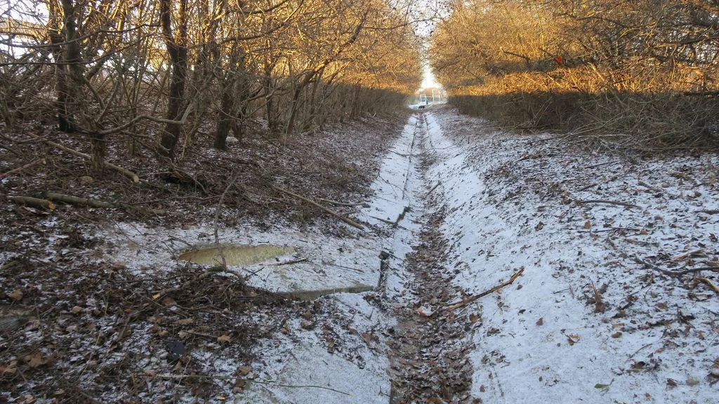 Řidiči podcenili sněžení. Hromadná nehoda u Mohelnice, kamiony zablokované na dálnici