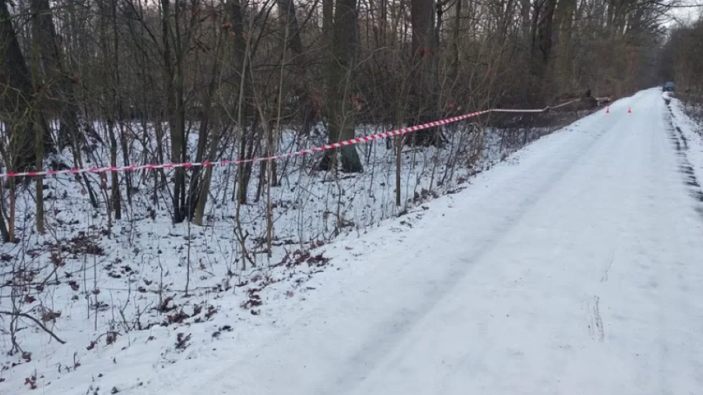 Černovír