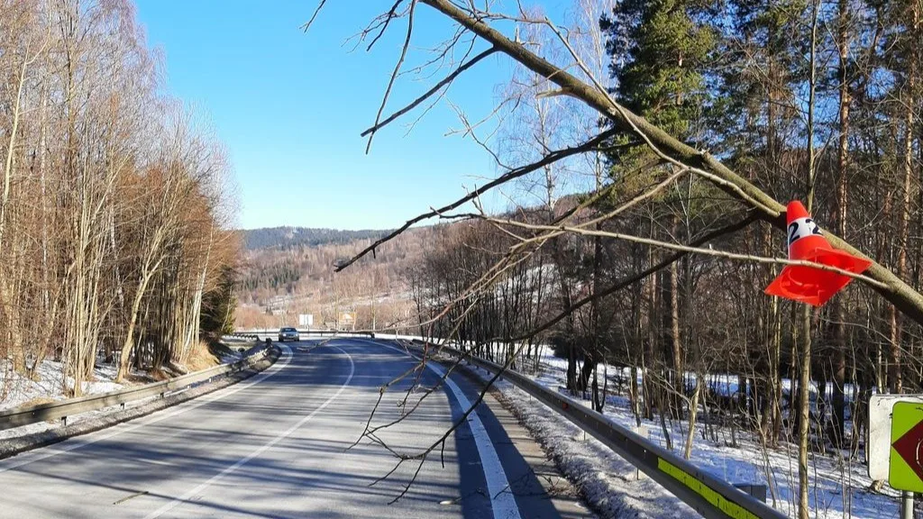 Já za to nemůžu. Kamion narazil do vyvráceného stromu, který byl vidět na sto metrů