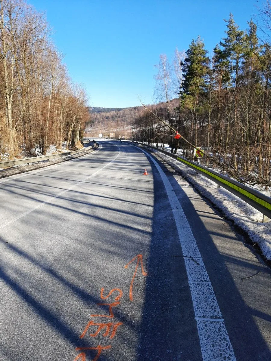 Já za to nemůžu. Kamion narazil do vyvráceného stromu, který byl vidět na sto metrů