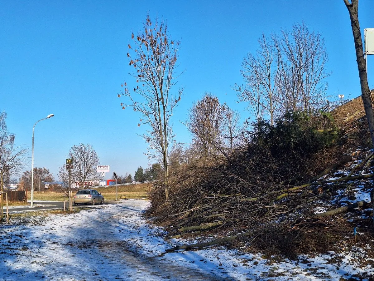sjezd Držovice
