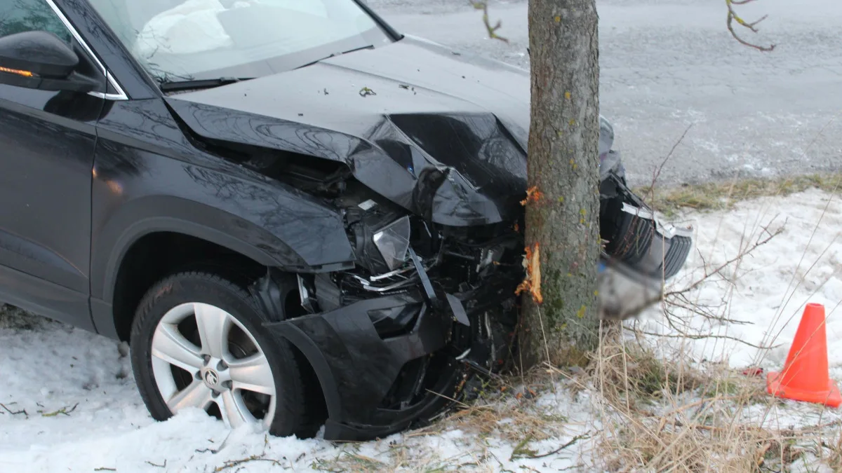 Na Přerovsku auto dostalo na náledí smyk a narazilo do stromu. Škoda je přes čtvrt milionu