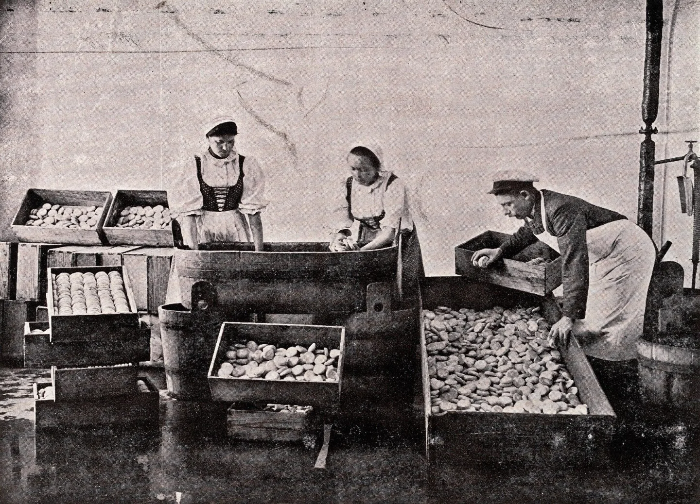 Střípky z historie. Olomoucké tvarůžky si letos připomínají 150 let od zahájení výroby v Lošticích
