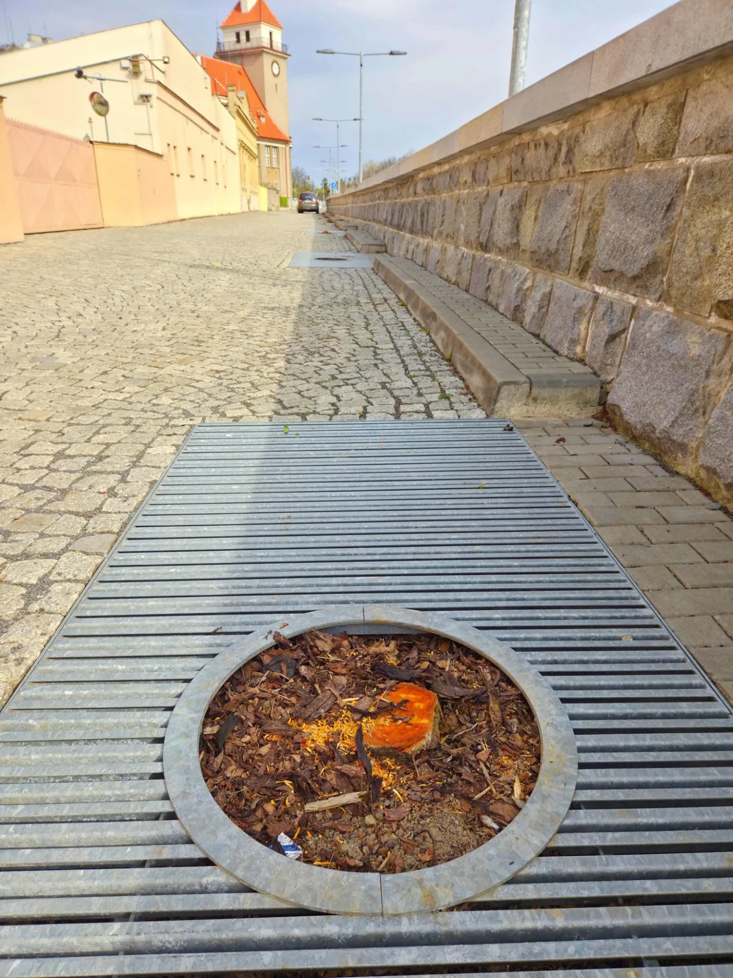 Kácení mladých stromů na náplavce vzbudilo bouři. Měly plíseň, vysadíme nové, tvrdí Olomouc