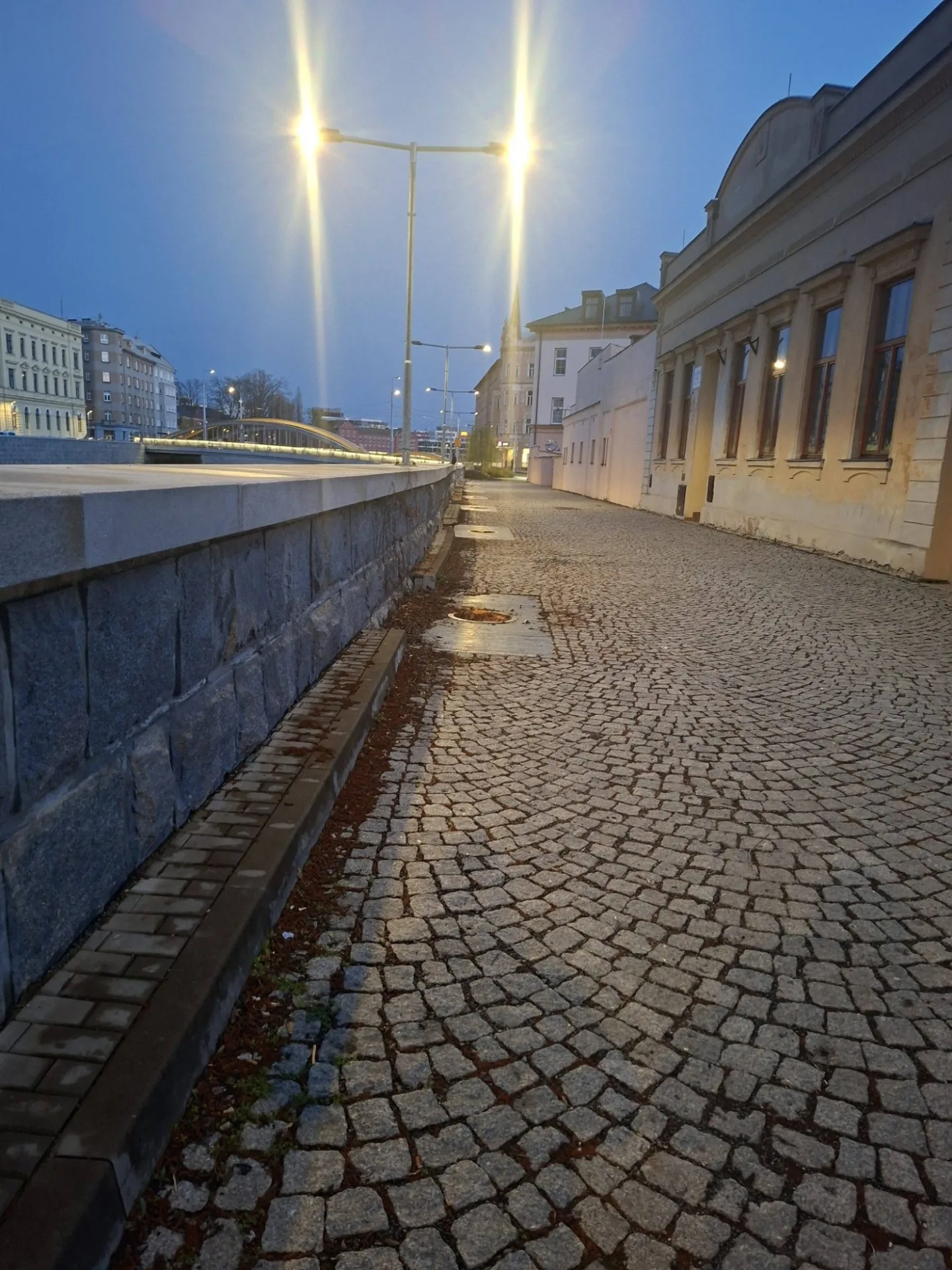 Kácení mladých stromů na náplavce vzbudilo bouři. Měly plíseň, vysadíme nové, tvrdí Olomouc