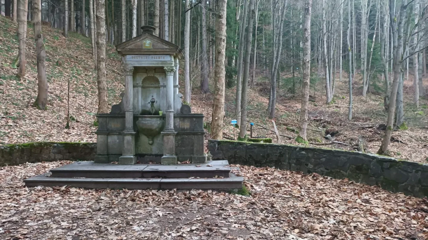 TIP NA VÝLET: Okolí Priessnitzových lázní nabízí prameny, čistý vzduch a krásné vyhlídky na Jeseníky
