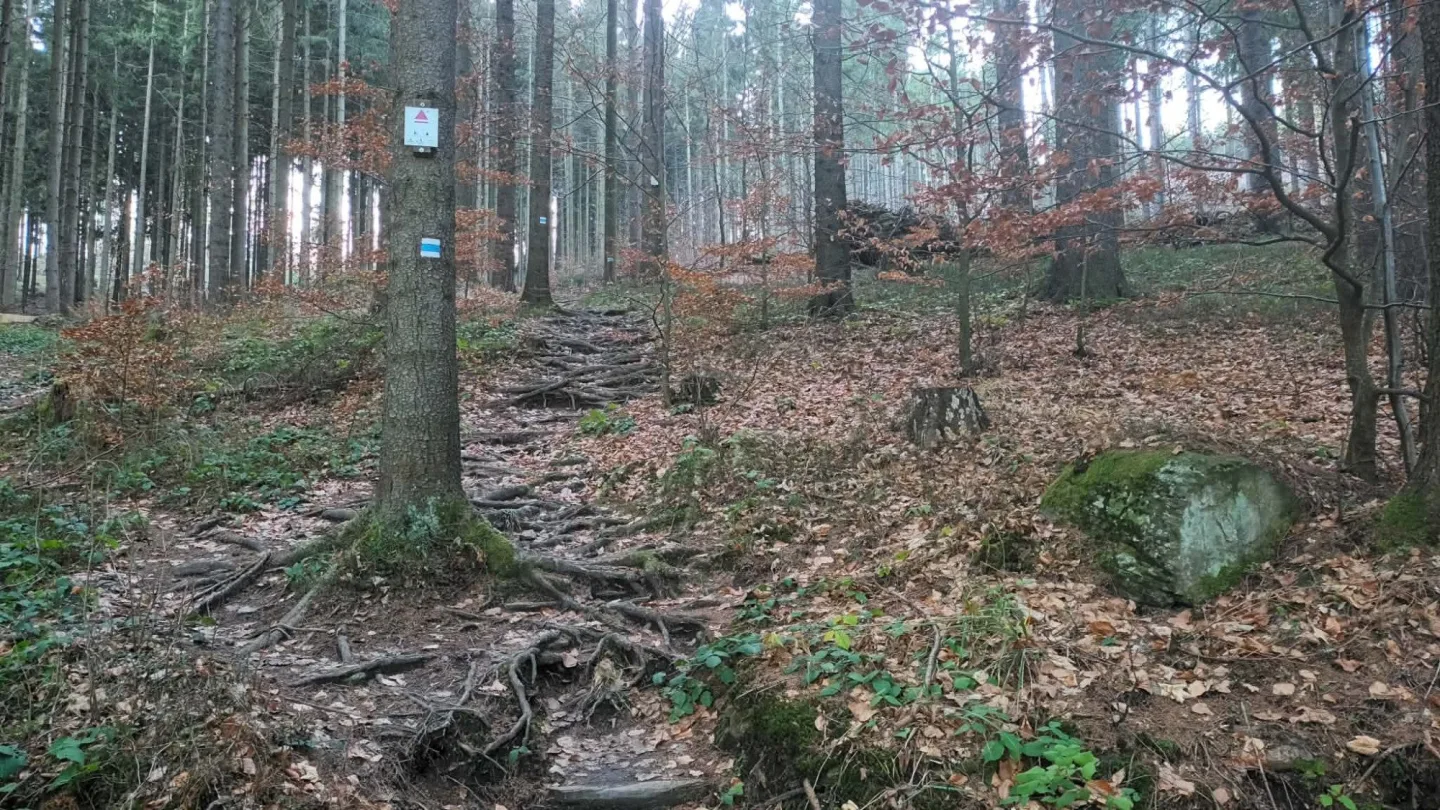 TIP NA VÝLET: Okolí Priessnitzových lázní nabízí prameny, čistý vzduch a krásné vyhlídky na Jeseníky