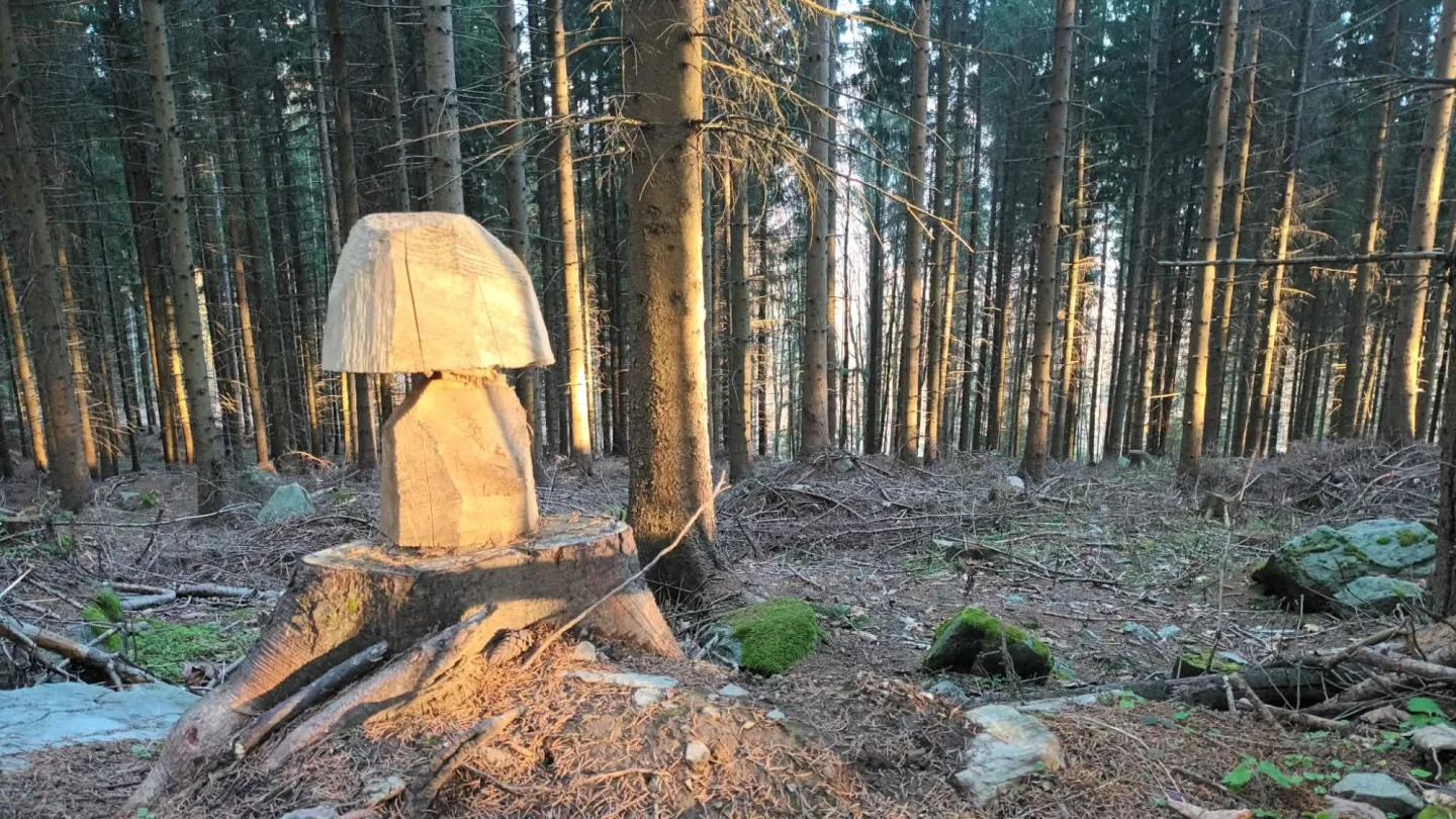 TIP NA VÝLET: Okolí Priessnitzových lázní nabízí prameny, čistý vzduch a krásné vyhlídky na Jeseníky