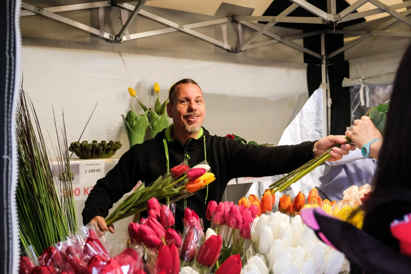 Blíží se Flora Olomouc. Přinese nejen květiny, ale i hudbu nebo výtvarné umění