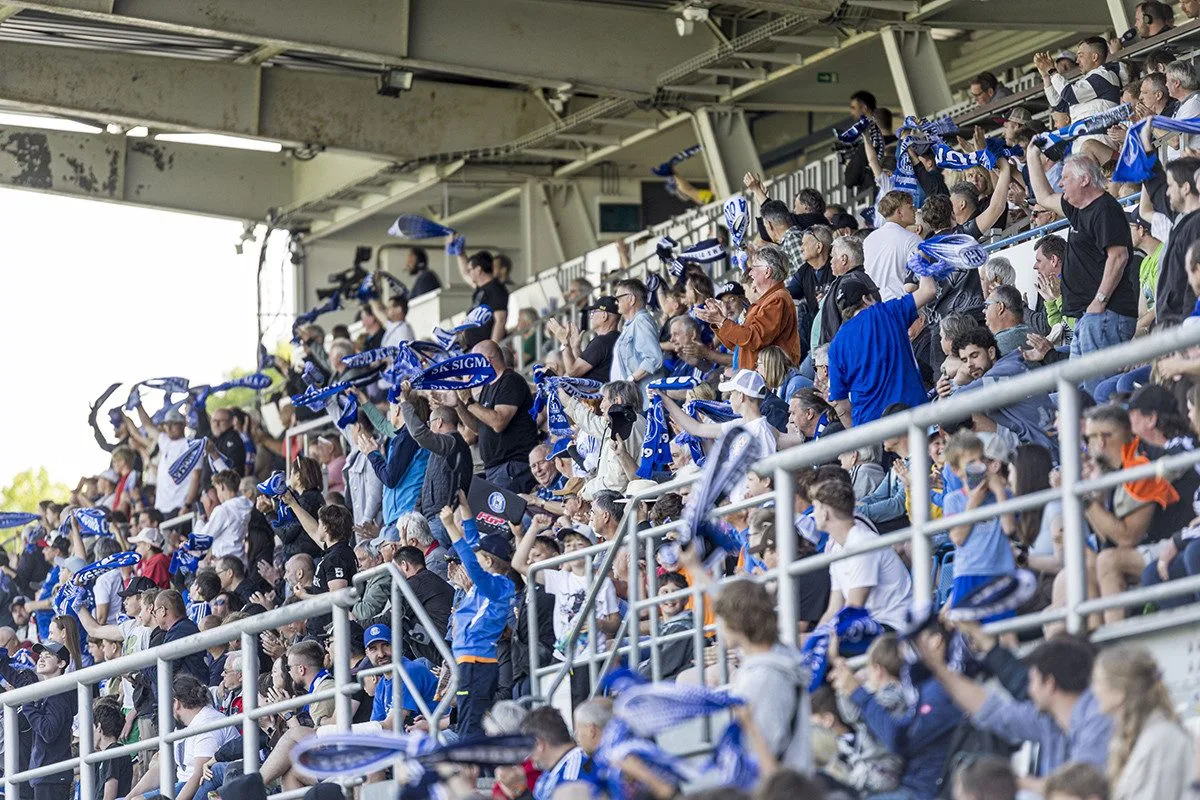 Fanoušci Sigmy při utkání na Andrově stadionu