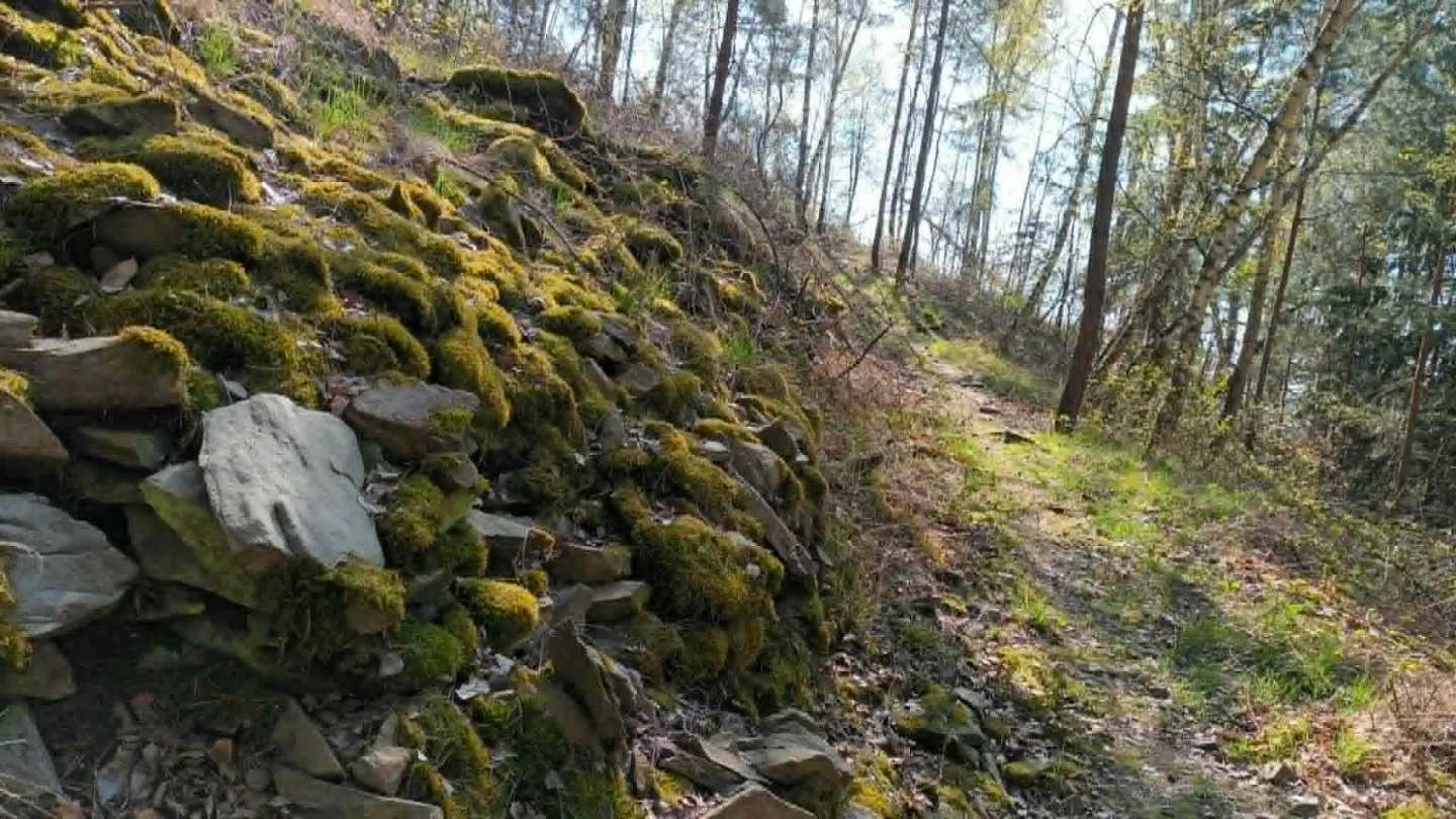 TIP NA VÝLET: Nová turistická stezka u Běleckého mlýna překvapí. Nabízí monumentální sochy i rozhlednu