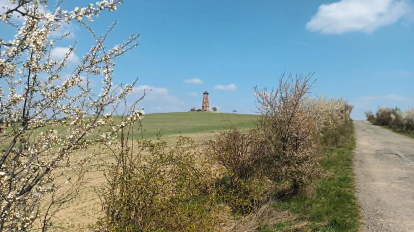 TIP NA VÝLET: Nová turistická stezka u Běleckého mlýna překvapí. Nabízí monumentální sochy i rozhlednu