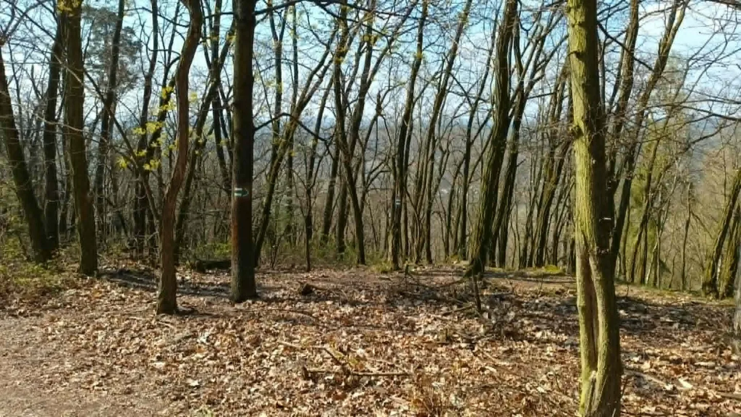 TIP NA VÝLET: Nová turistická stezka u Běleckého mlýna překvapí. Nabízí monumentální sochy i rozhlednu
