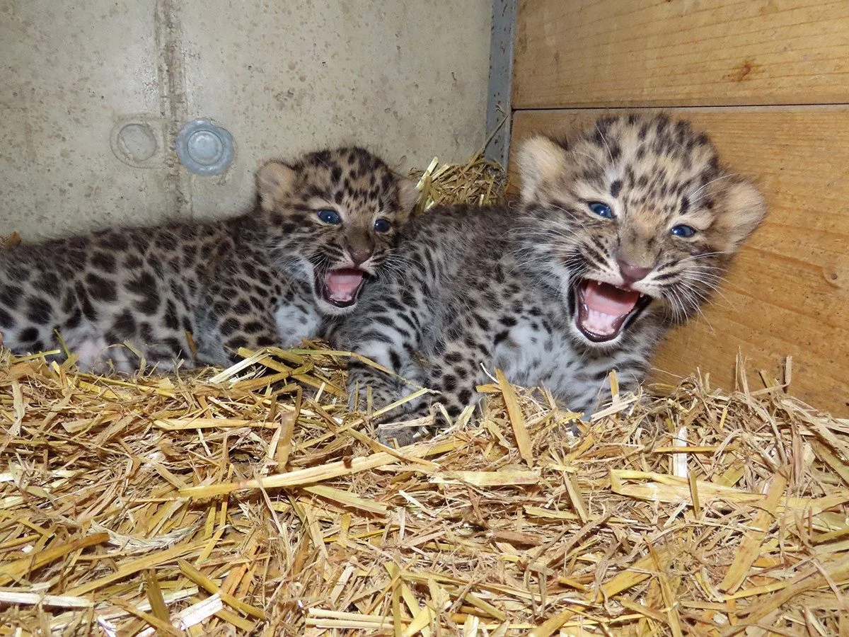 Zoo Olomouc
