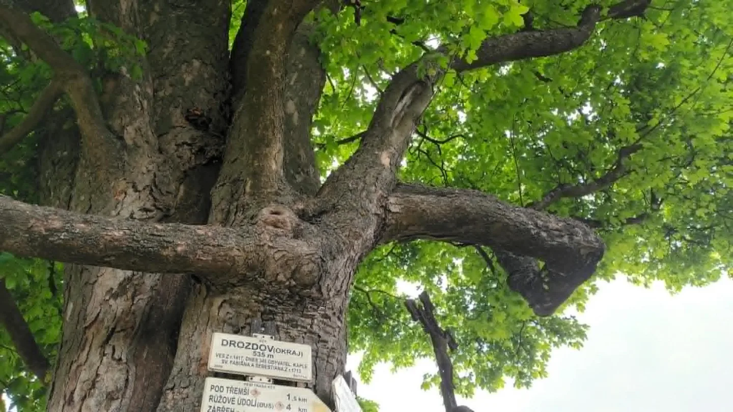 TIP NA VÝLET: Zbytky hradu Hoštejna, malebná krajina a údolí, ale i nezvyklá Cimrmanova otužovna